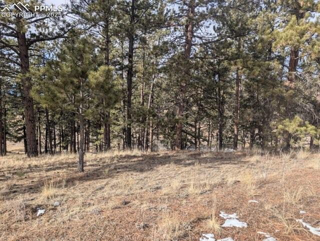 1379 S Mountain Estates Road Florissant CO 80816
