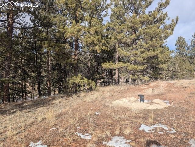 1379 S Mountain Estates Road Florissant CO 80816