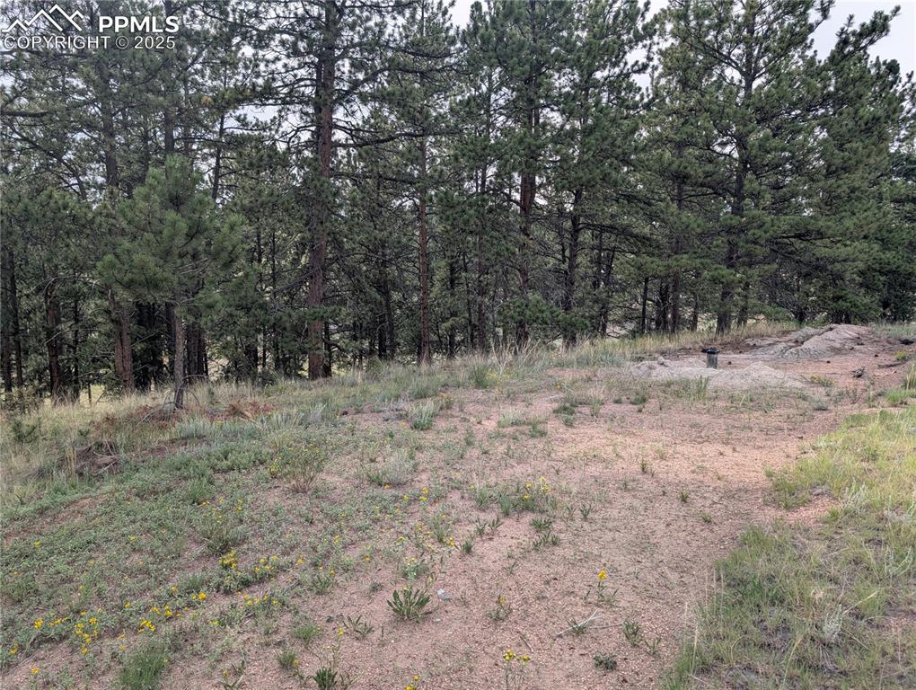 1379 S Mountain Estates Road Florissant CO 80816