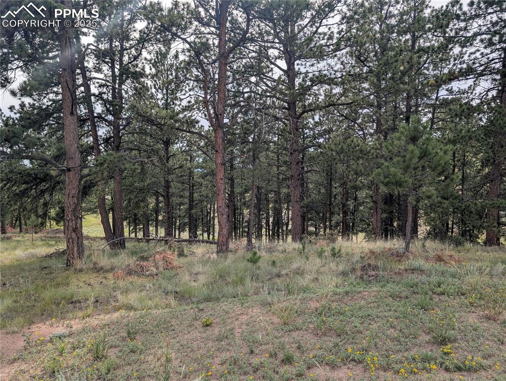 1379 S Mountain Estates Road Florissant CO 80816