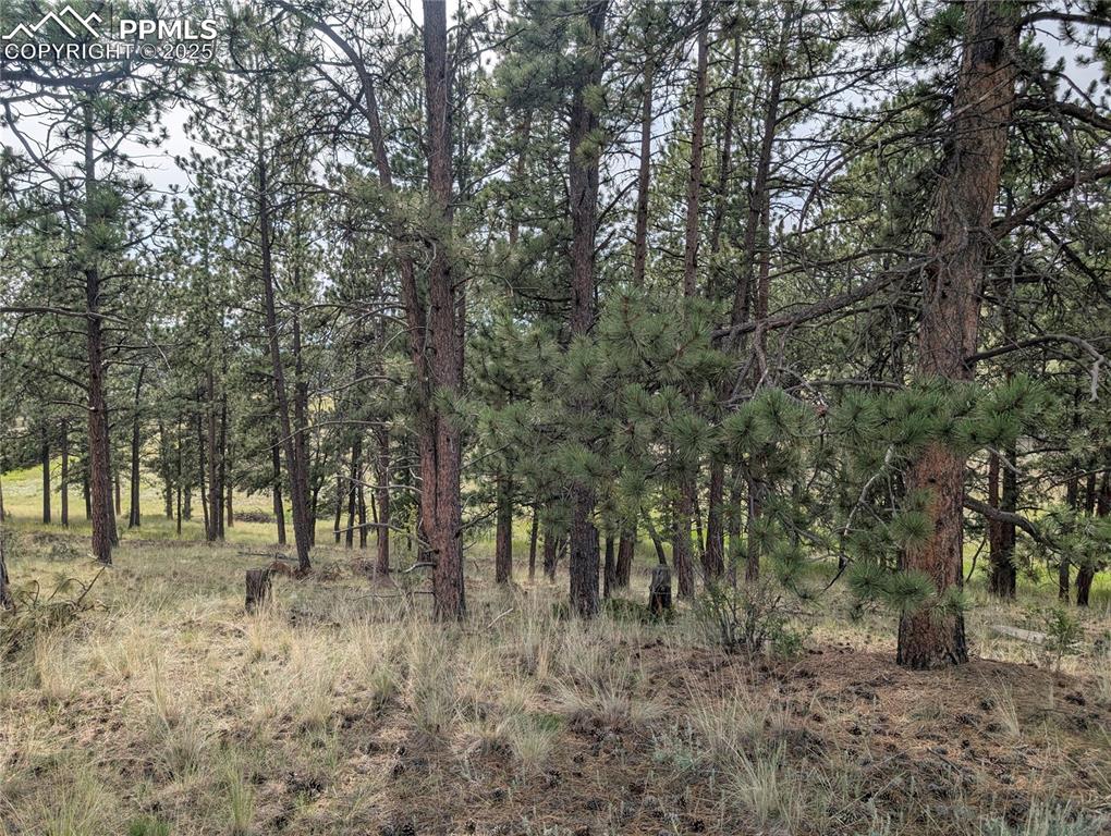 1379 S Mountain Estates Road Florissant CO 80816
