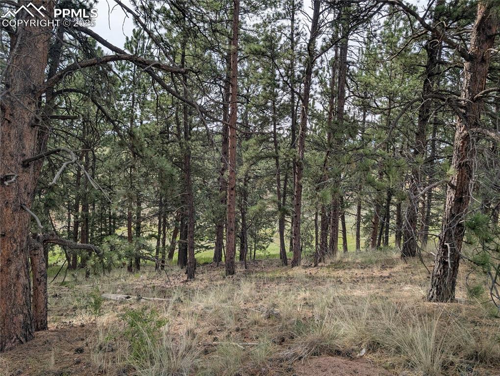 1379 S Mountain Estates Road Florissant CO 80816