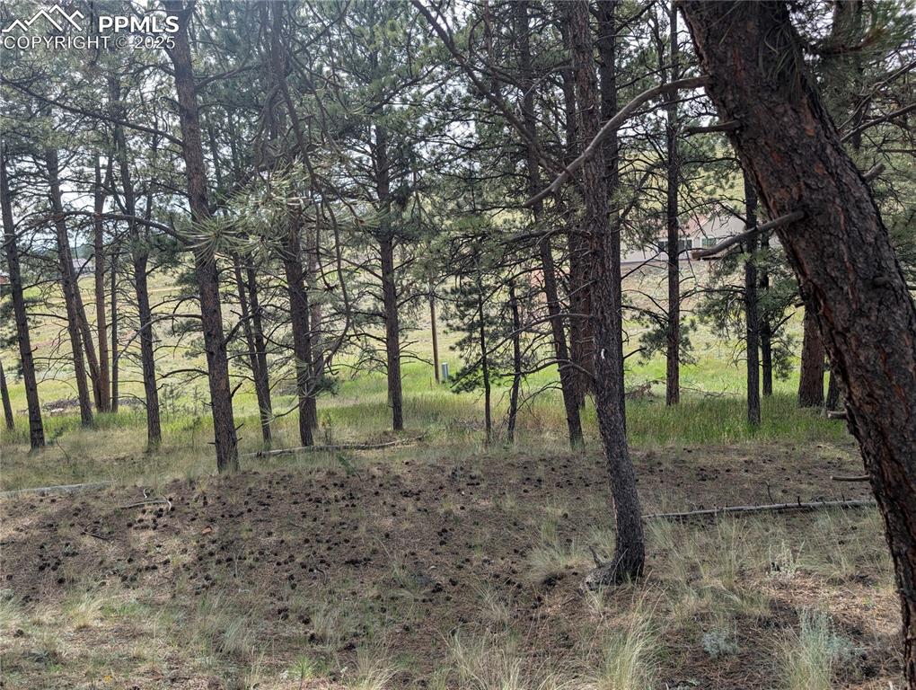 1379 S Mountain Estates Road Florissant CO 80816