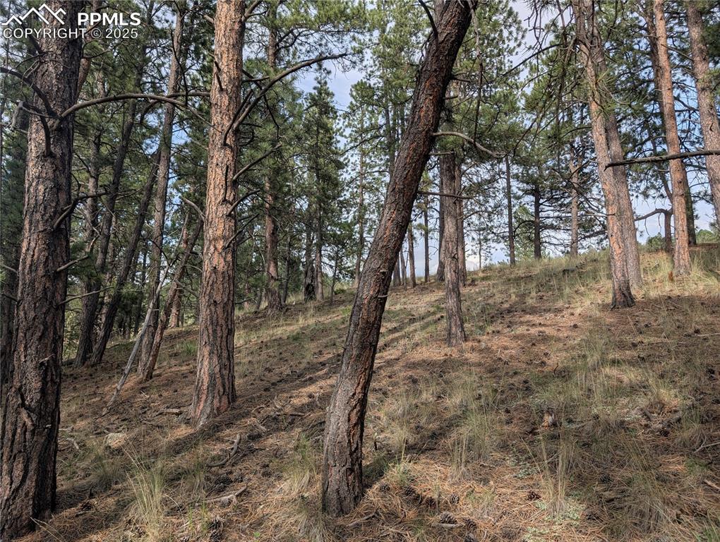1379 S Mountain Estates Road Florissant CO 80816