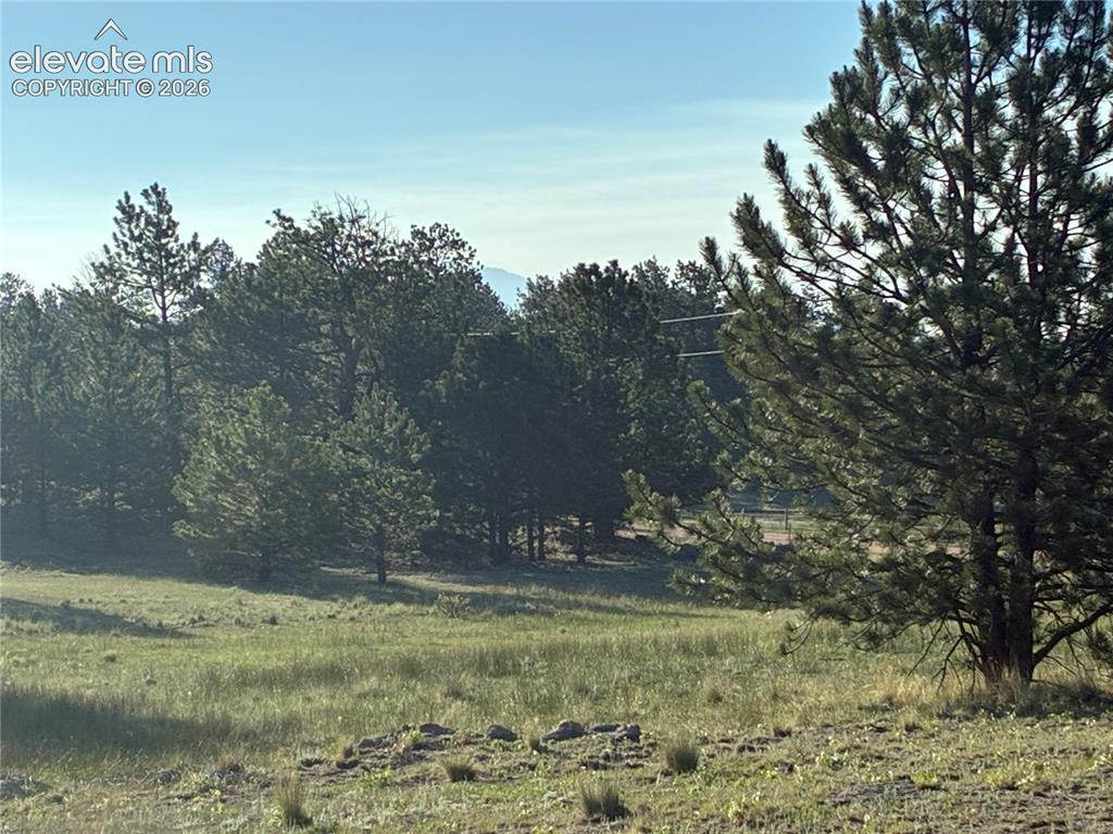 Tbd Doe Valley Road Guffey CO 80820