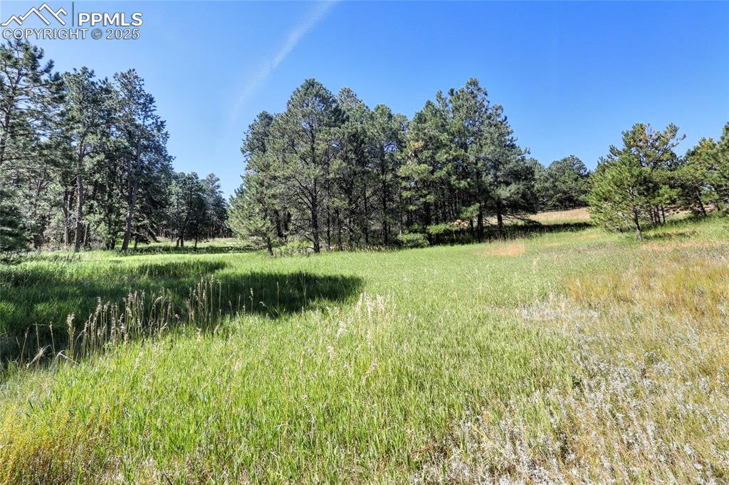 18380 Black Squirrel Road Colorado Springs CO 80908