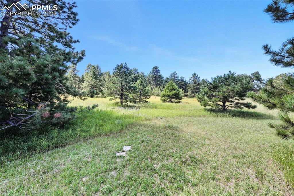 18380 Black Squirrel Road Colorado Springs CO 80908