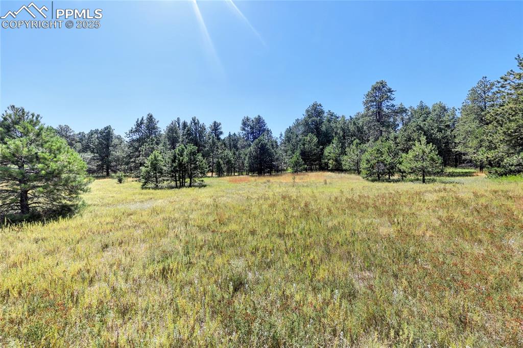 18380 Black Squirrel Road Colorado Springs CO 80908