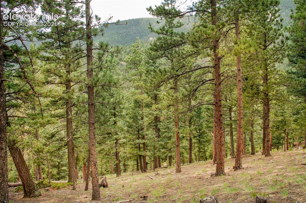 266 Aspen Ridge Road Manitou Springs CO 80829