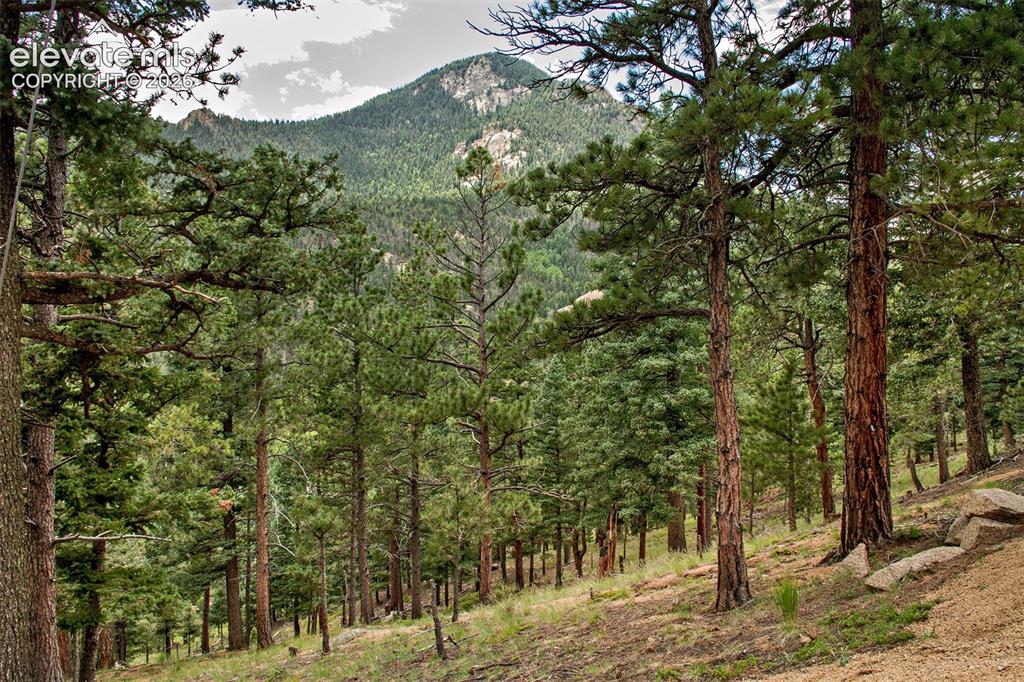266 Aspen Ridge Road Manitou Springs CO 80829