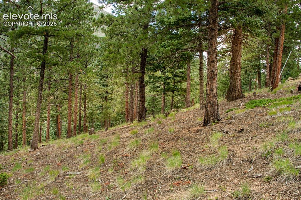 266 Aspen Ridge Road Manitou Springs CO 80829