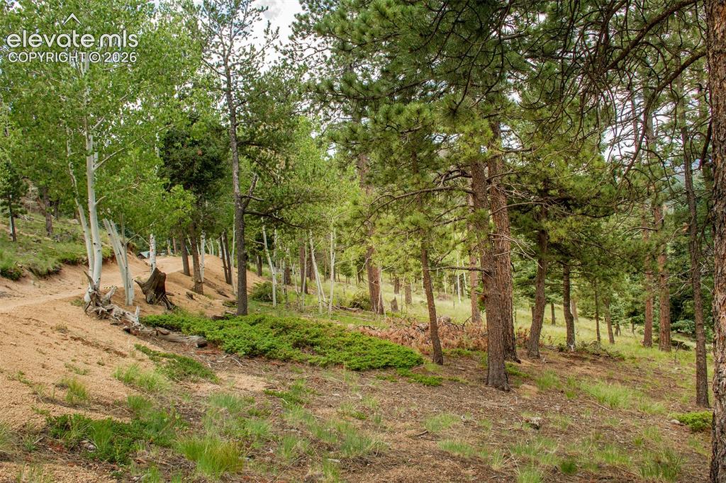 266 Aspen Ridge Road Manitou Springs CO 80829