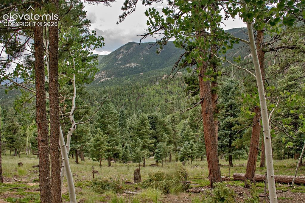 266 Aspen Ridge Road Manitou Springs CO 80829
