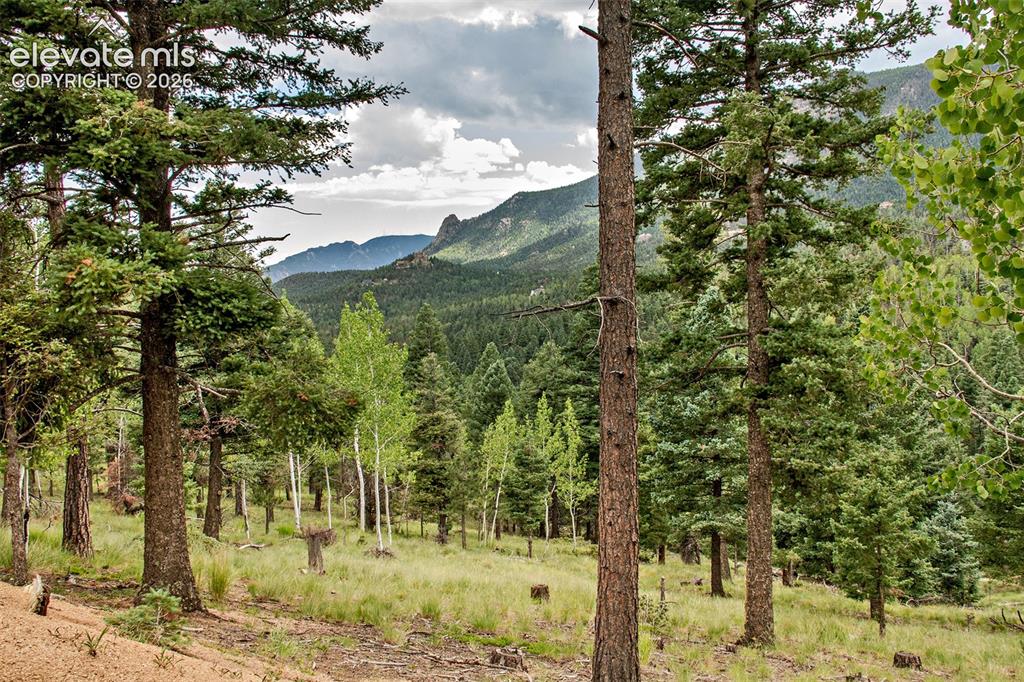266 Aspen Ridge Road Manitou Springs CO 80829