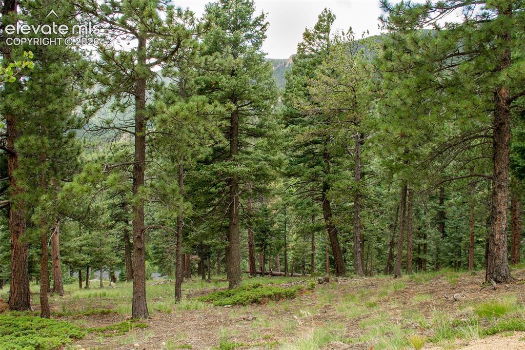 266 Aspen Ridge Road Manitou Springs CO 80829