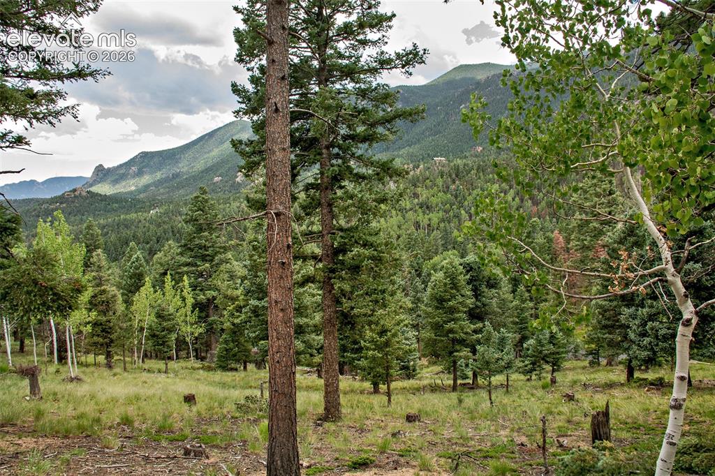 266 Aspen Ridge Road Manitou Springs CO 80829