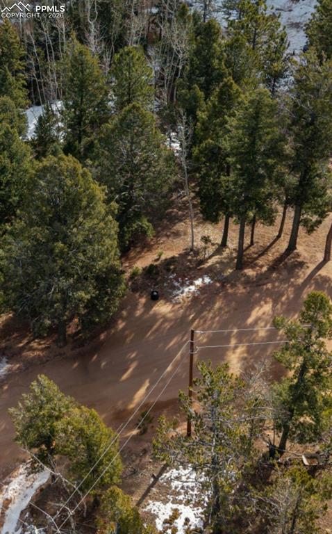 41 Tecumseh Lane Woodland Park CO 80863