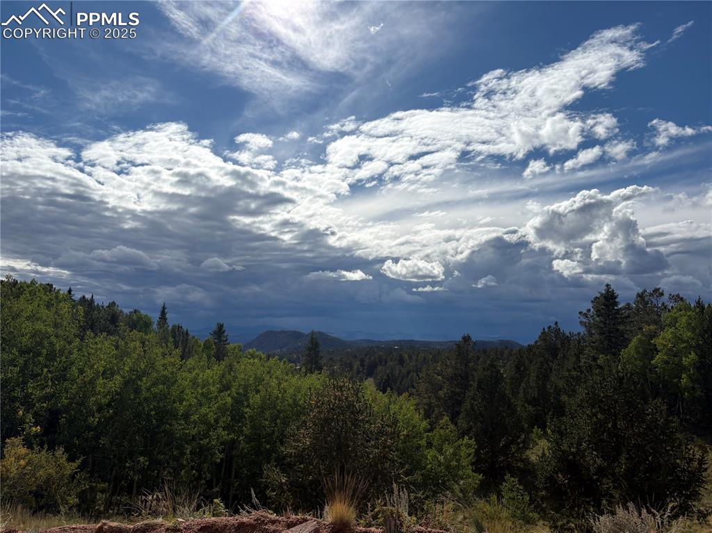 70 Brown Bear Lane Cripple Creek CO 80813