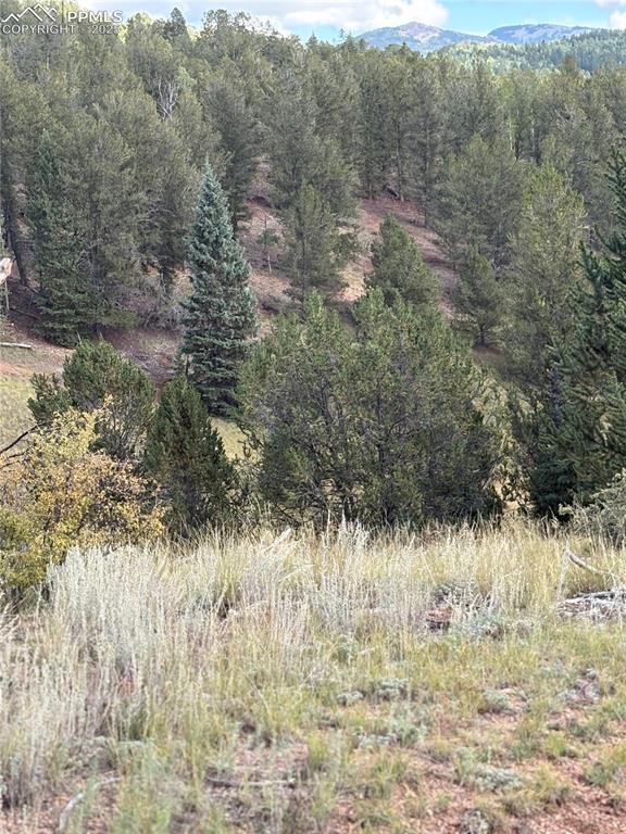 70 Brown Bear Lane Cripple Creek CO 80813