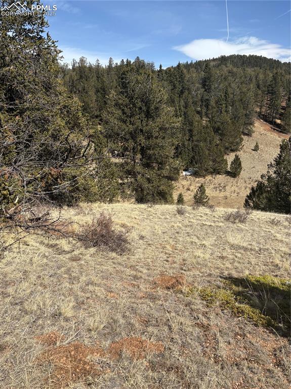 70 Brown Bear Lane Cripple Creek CO 80813