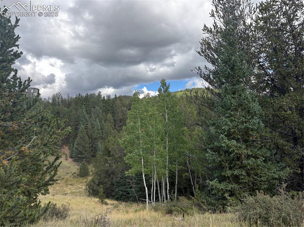 70 Brown Bear Lane Cripple Creek CO 80813