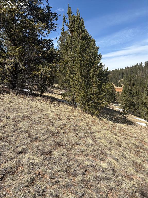 70 Brown Bear Lane Cripple Creek CO 80813