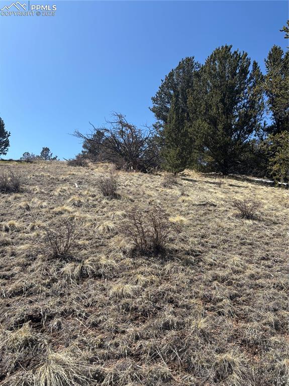 70 Brown Bear Lane Cripple Creek CO 80813