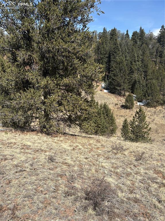 70 Brown Bear Lane Cripple Creek CO 80813