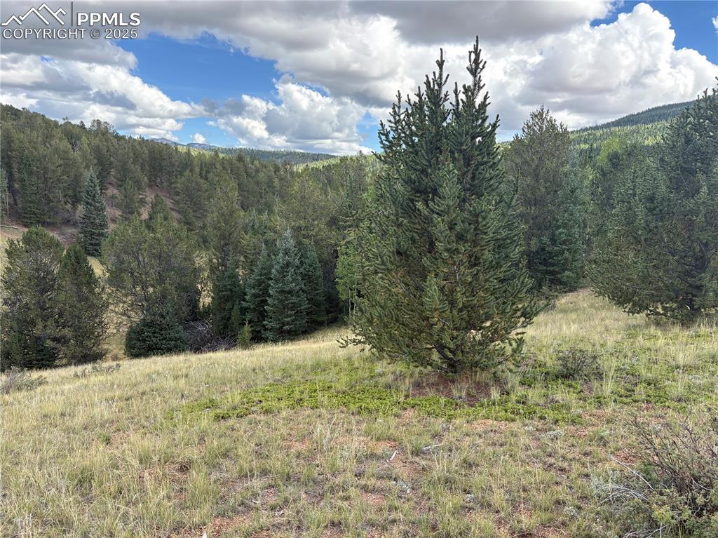 70 Brown Bear Lane Cripple Creek CO 80813
