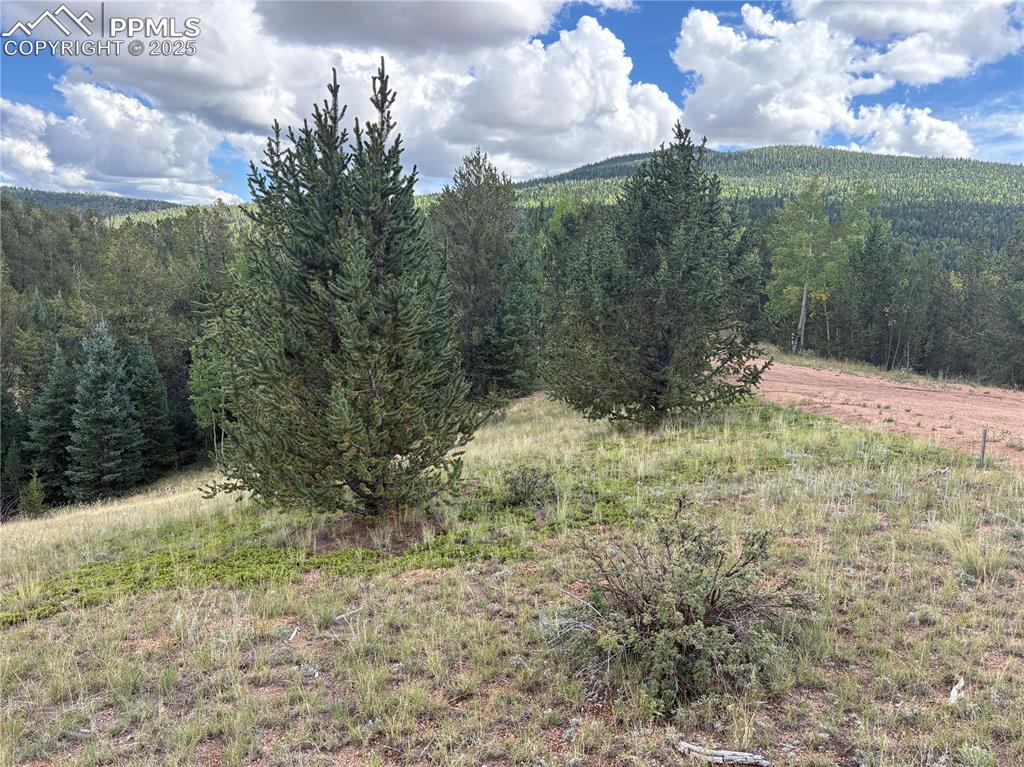70 Brown Bear Lane Cripple Creek CO 80813