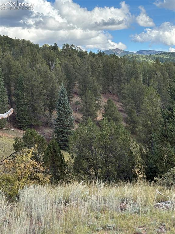 70 Brown Bear Lane Cripple Creek CO 80813