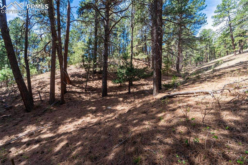 22555 County Road 49 Elbert CO 80106