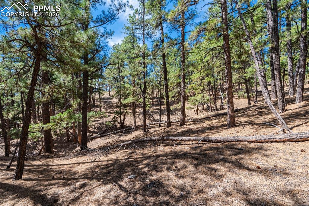 22555 County Road 49 Elbert CO 80106
