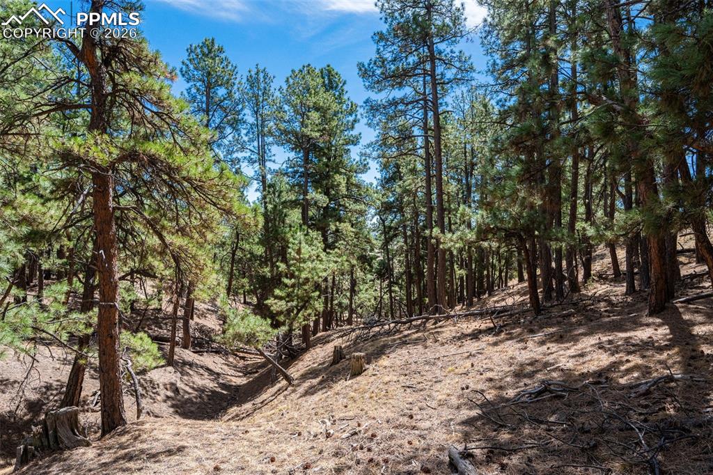 22555 County Road 49 Elbert CO 80106