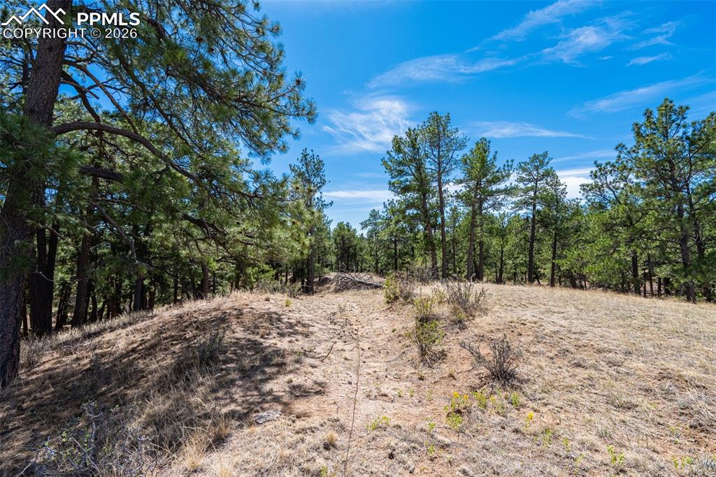 22555 County Road 49 Elbert CO 80106
