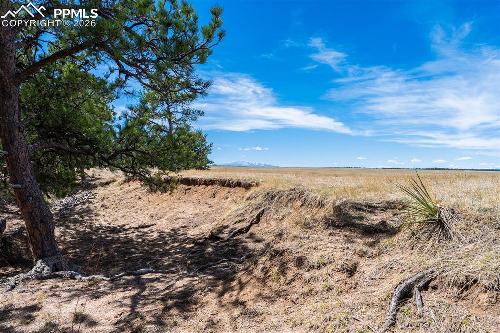 22555 County Road 49 Elbert CO 80106