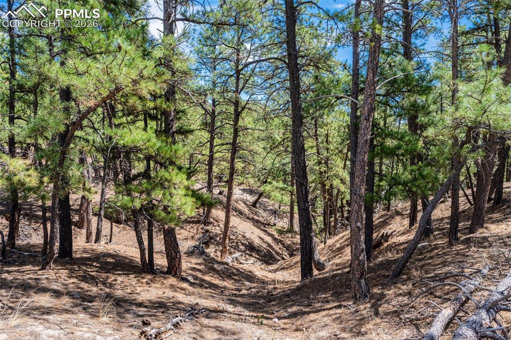 22555 County Road 49 Elbert CO 80106