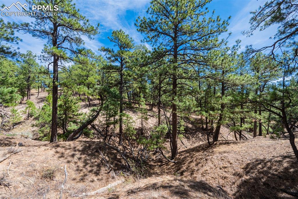 22555 County Road 49 Elbert CO 80106