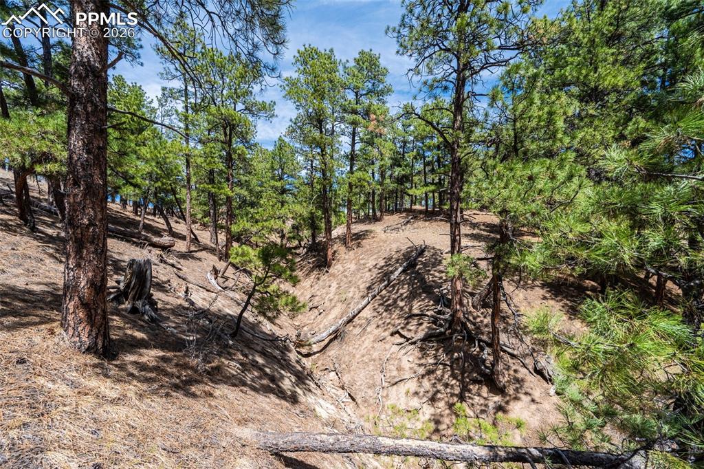 22555 County Road 49 Elbert CO 80106