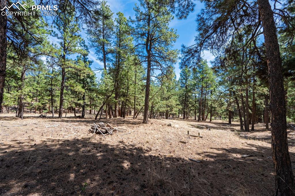 22555 County Road 49 Elbert CO 80106