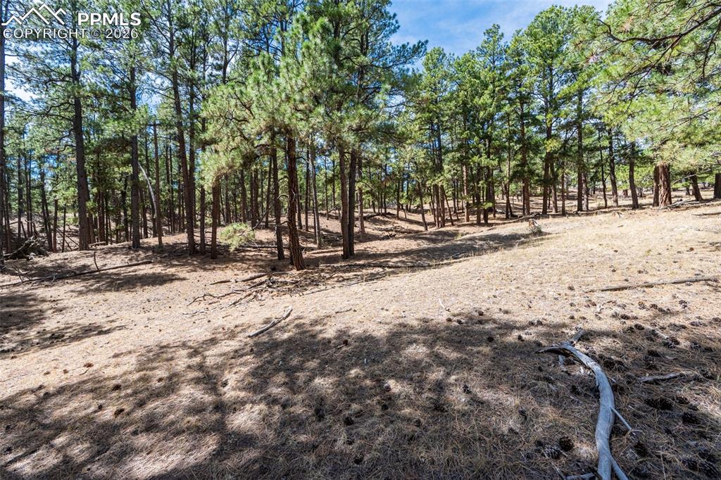 22555 County Road 49 Elbert CO 80106
