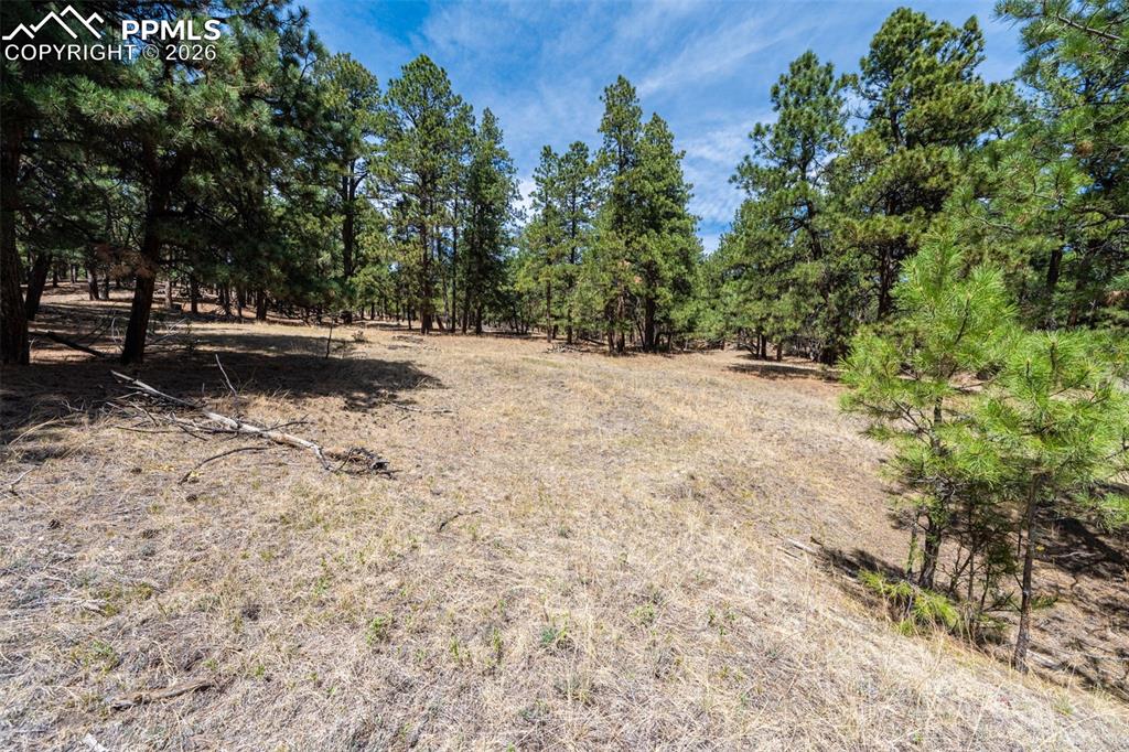 22555 County Road 49 Elbert CO 80106