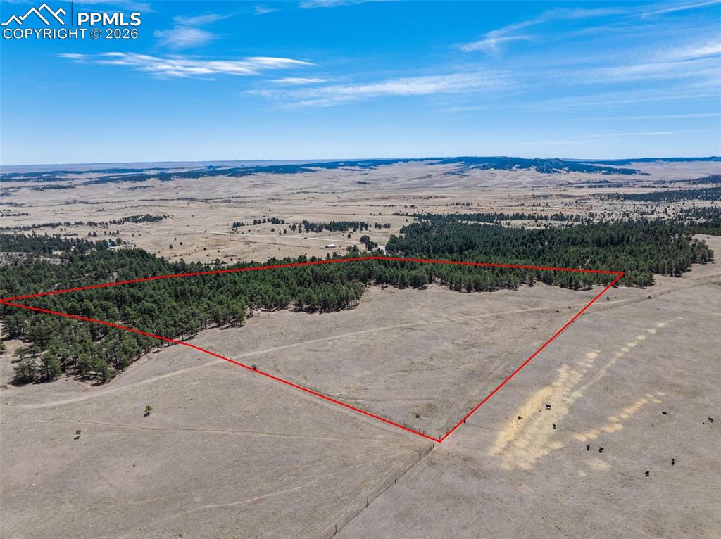 22555 County Road 49 Elbert CO 80106