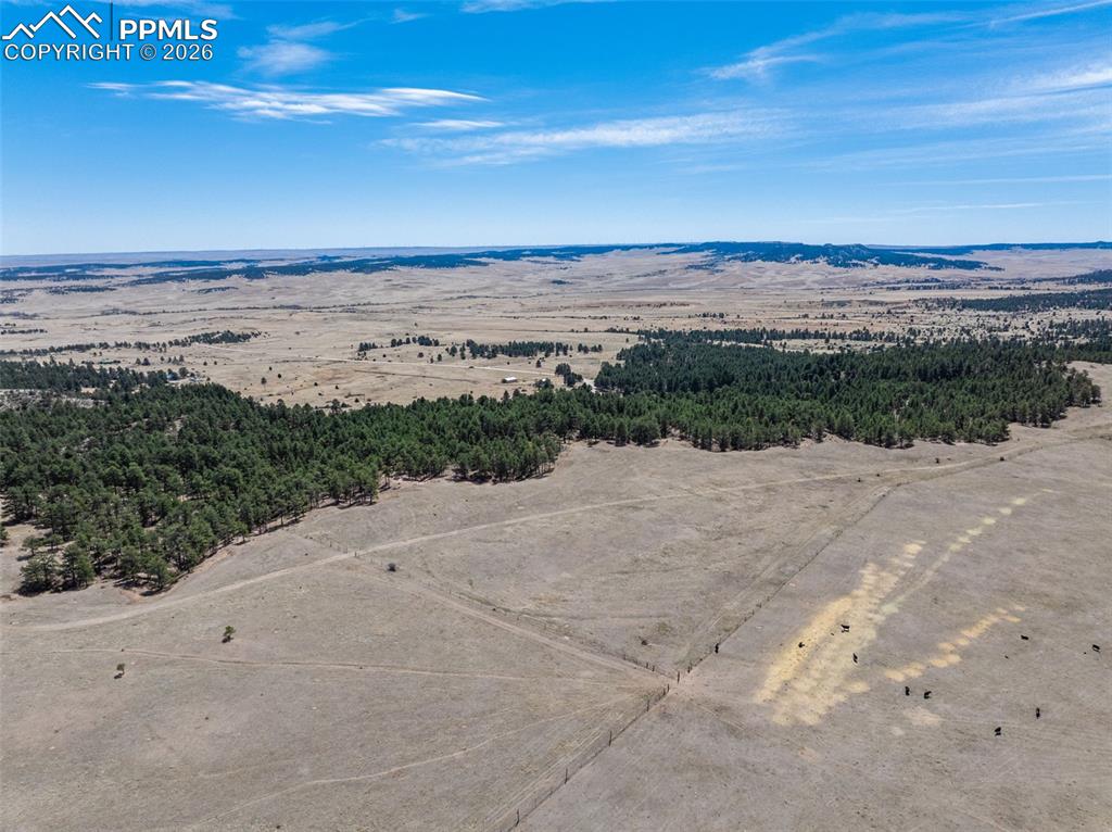 22555 County Road 49 Elbert CO 80106