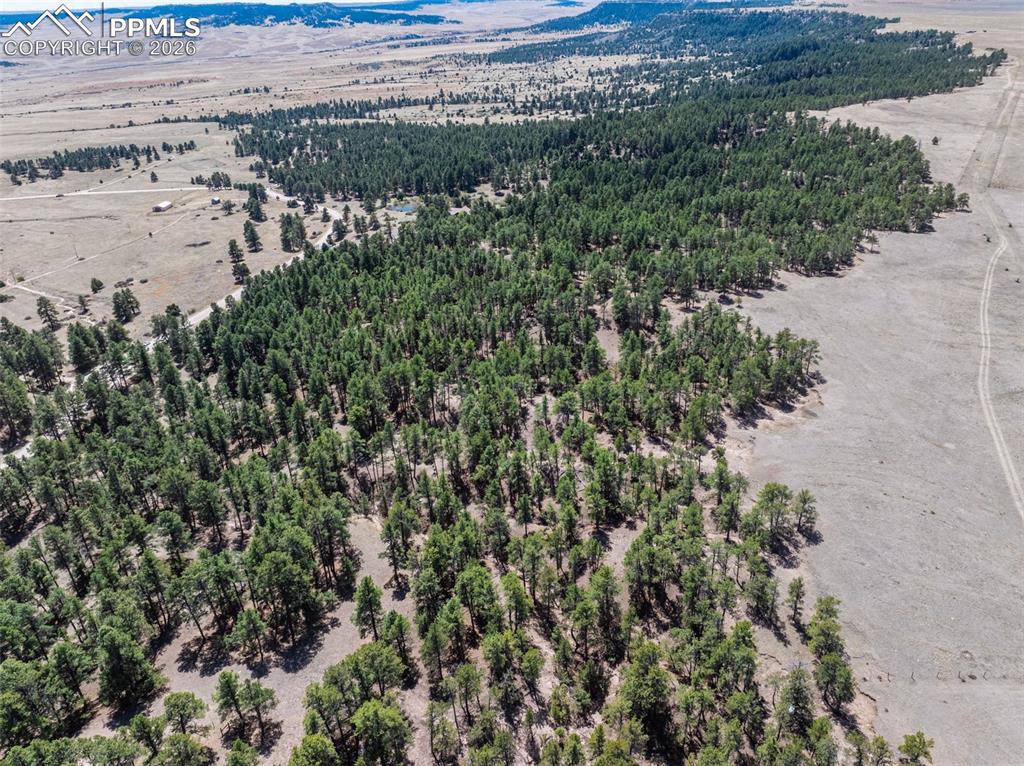 22555 County Road 49 Elbert CO 80106