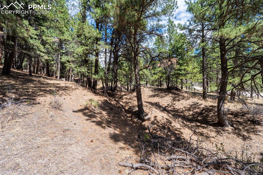 22555 County Road 49 Elbert CO 80106