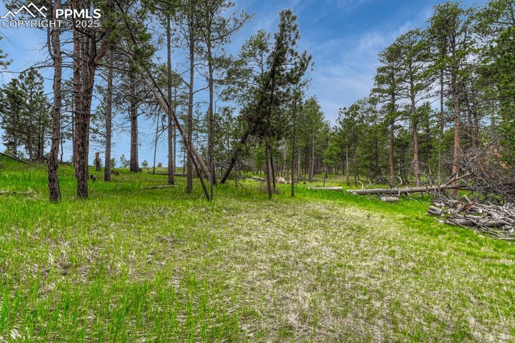 01 Wyandott Drive Colorado Springs CO 80908