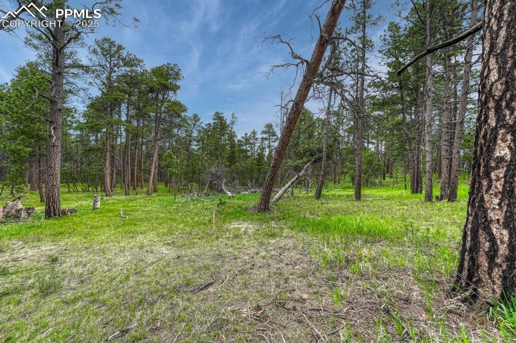 01 Wyandott Drive Colorado Springs CO 80908