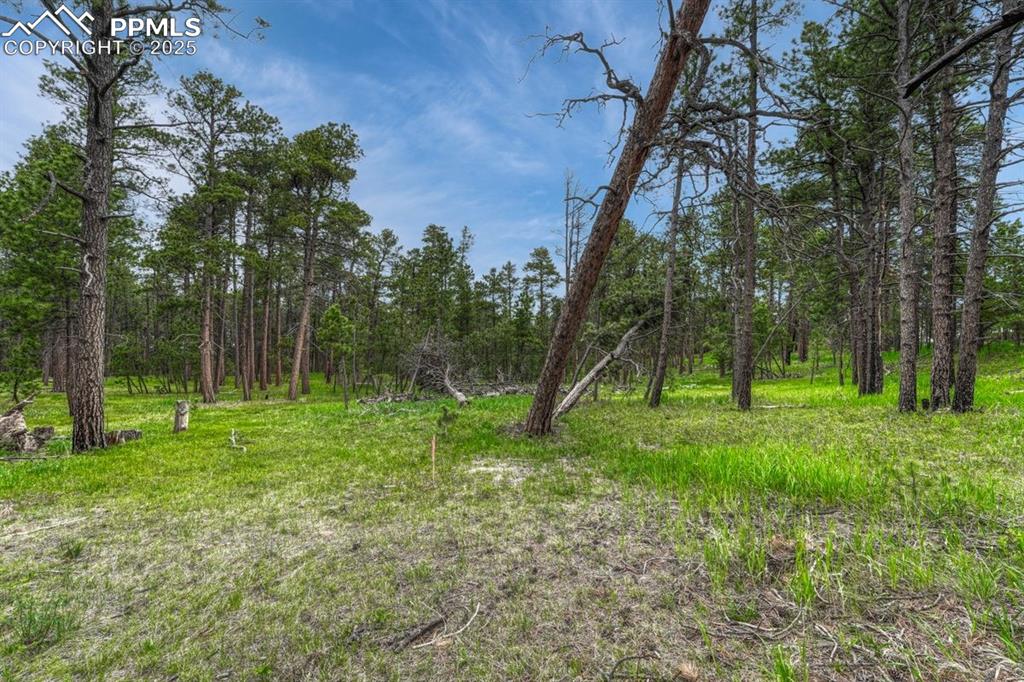 01 Wyandott Drive Colorado Springs CO 80908