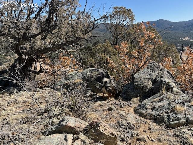 Lot 17 S Dunn Drive Canon City CO 81212